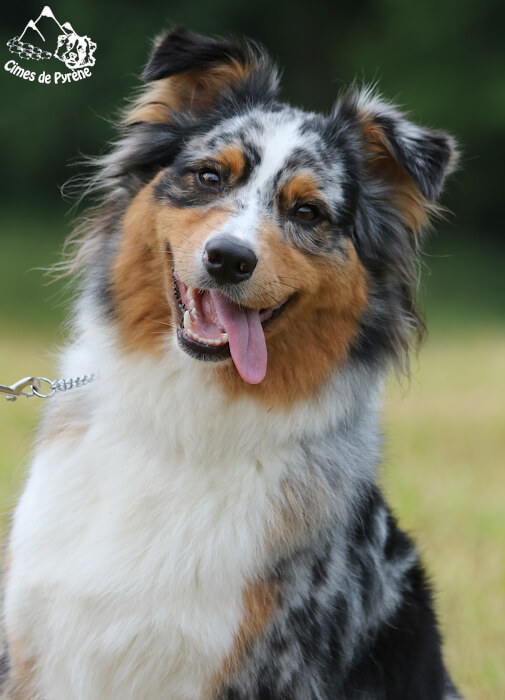 photo de [object Object]