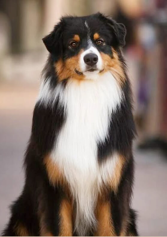 photo de [object Object]