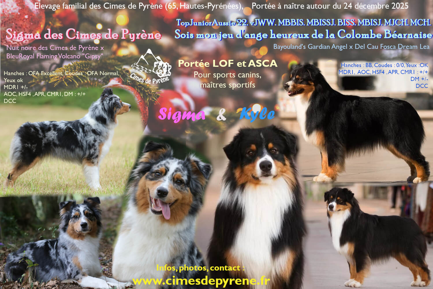 Montage photos de la portée