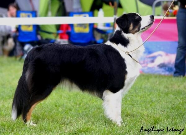 Woollie en expo