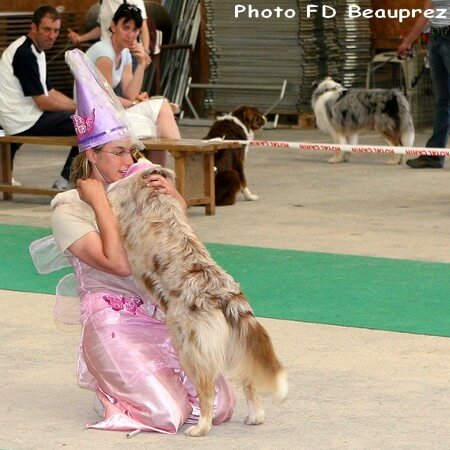 Riou dogdancing