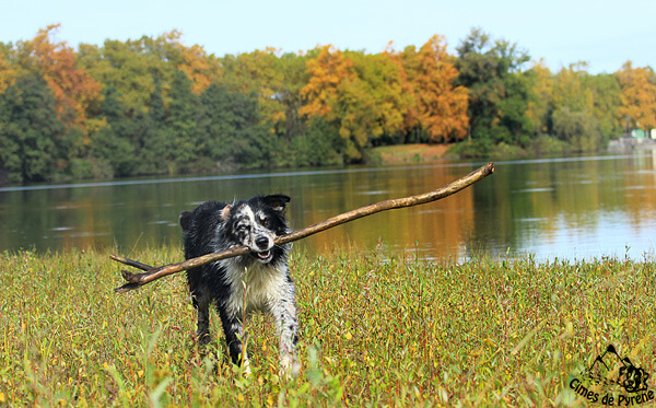 Yéti avec un grand baton au bord de la rivière, 18mois