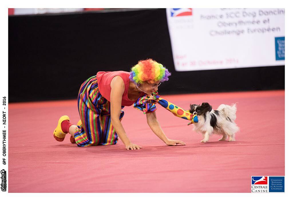 Giga dogdancing, en clown