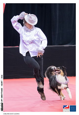 Izarra dogdancing