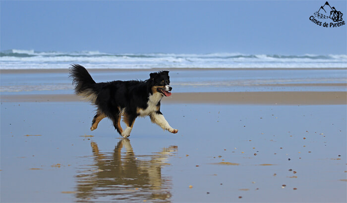 Izarra à la plage