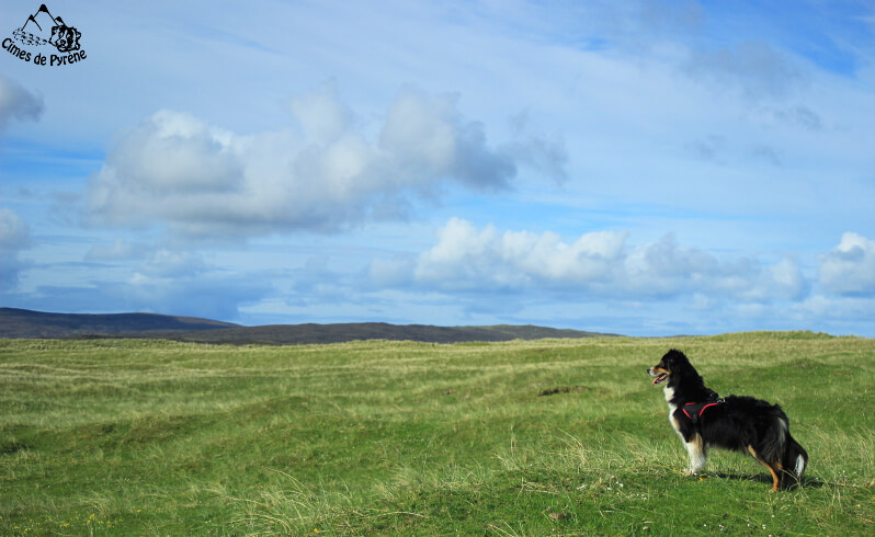 Izarra en Ecosse