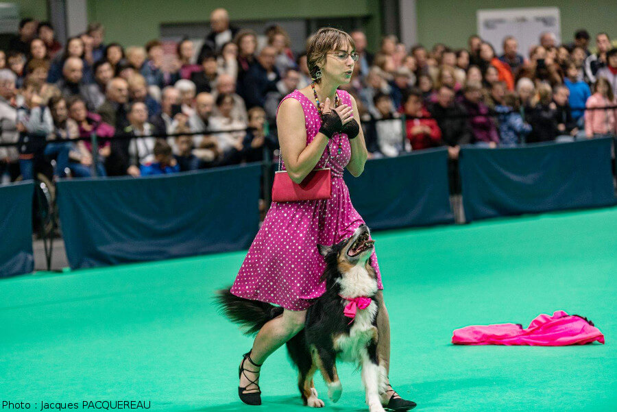 Izarra en dogdancing