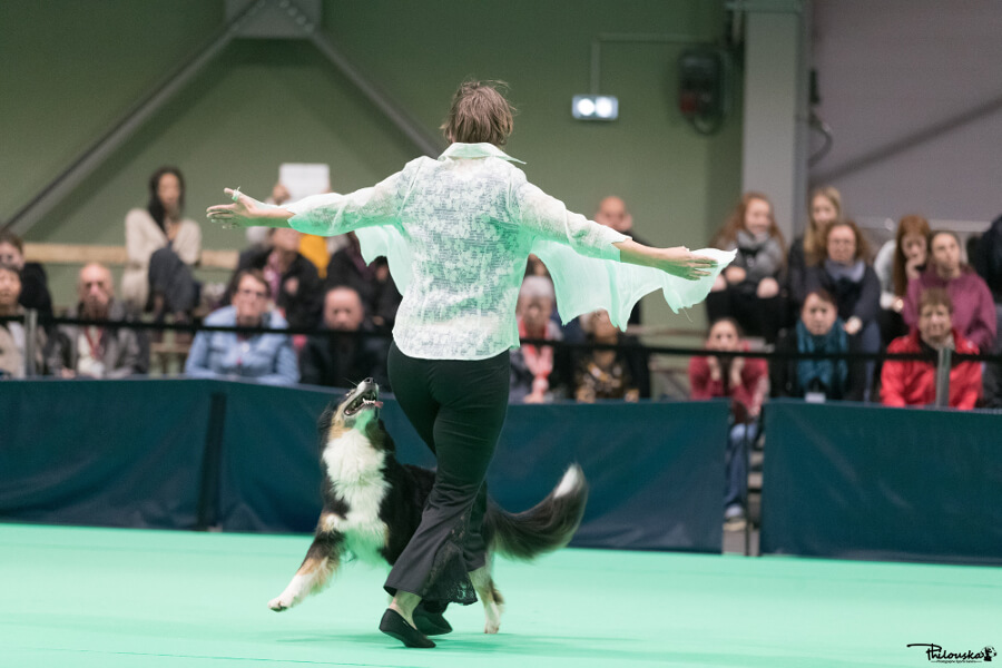 Izarra en dogdancing