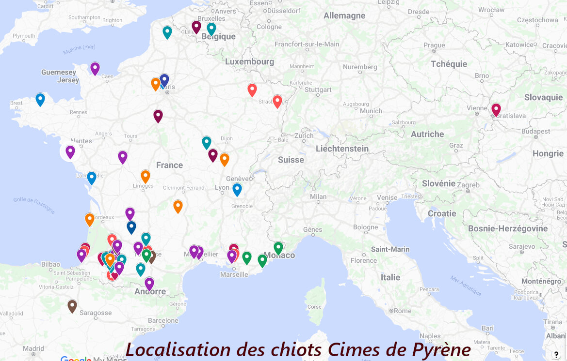 localisation des chiots cimes de pyrène