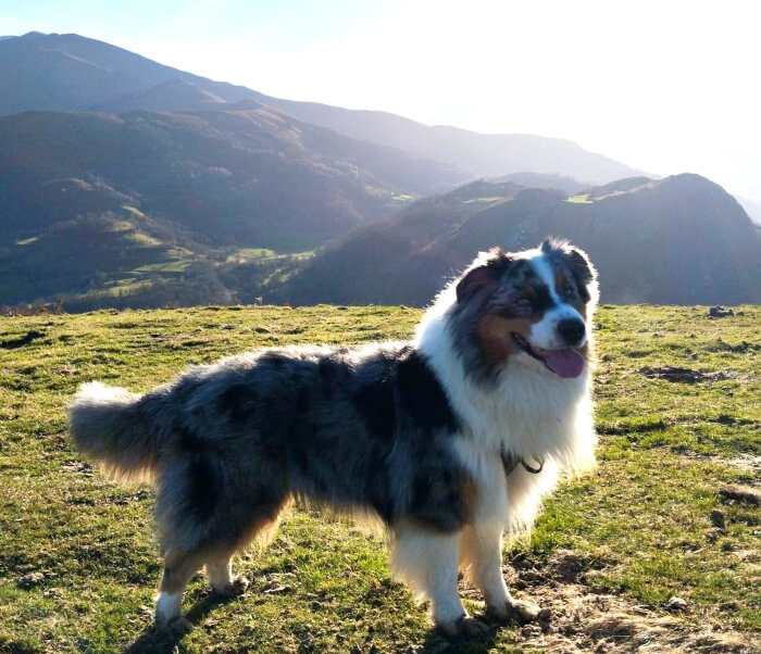 photo de Rio