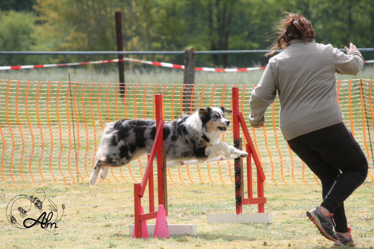 photo de WTCH ATCH-III Nikita