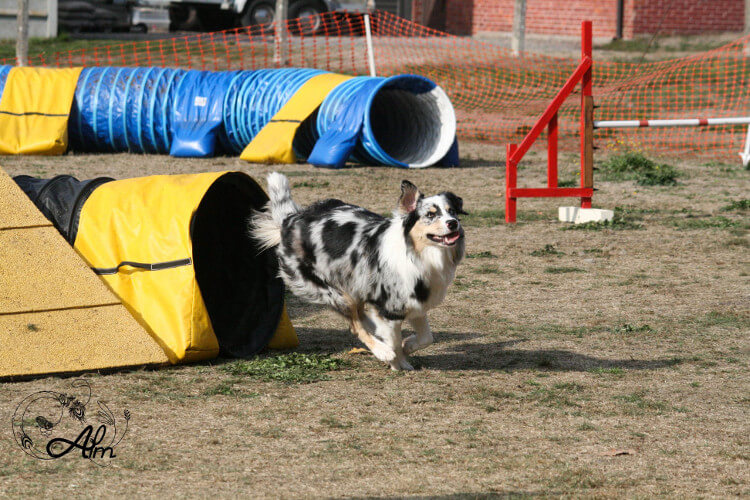 photo de WTCH ATCH-III Nikita