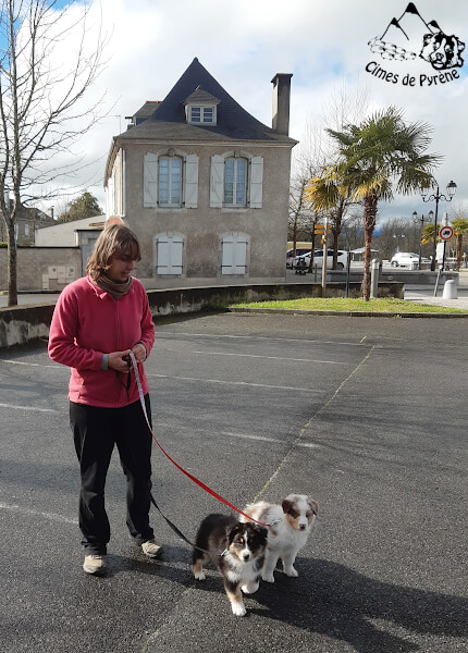 Socialisation en ville