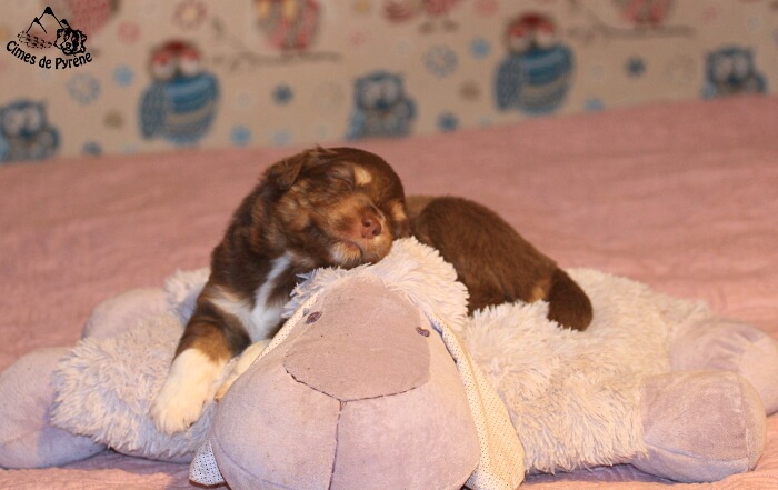 Peio 21jours, en douceur sur une peluche
